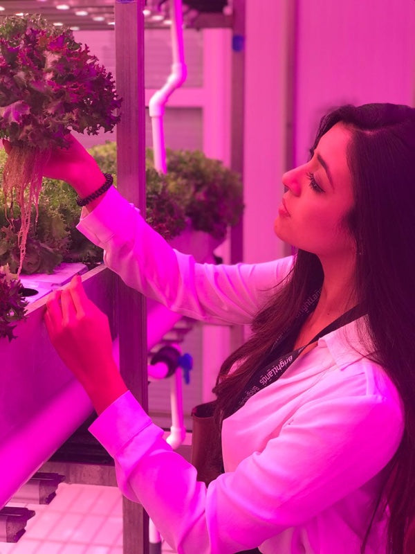 Vertical Farming Conference at Venlo, Netherlands