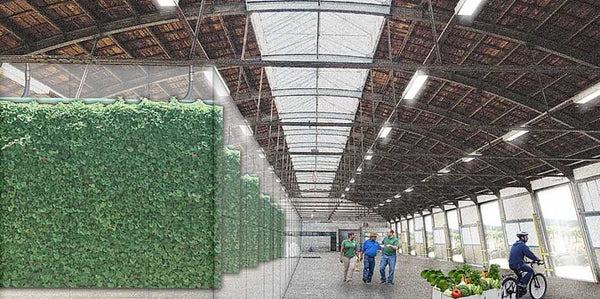 Feeding the world with Integrated Vertical Farming