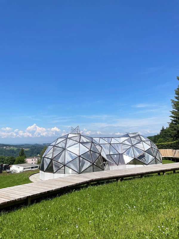 YASAI at Institut auf dem Rosenberg