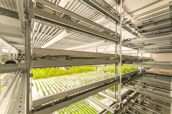 Deutsche Bauzeitschrift: Vertical Farming für die Smart Cities von morgen