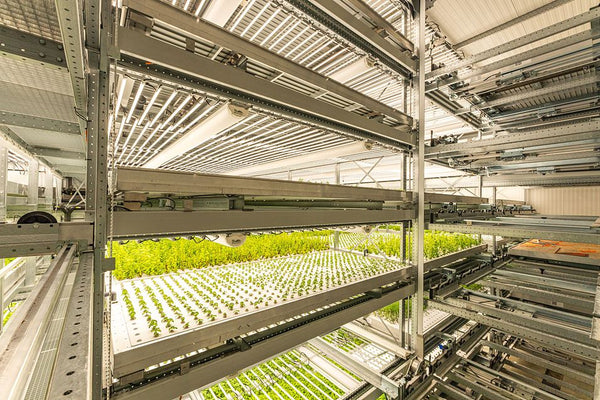 NZZ: Vertical Farming - Wie Schweizer Startups die Landwirtschaft neu denken